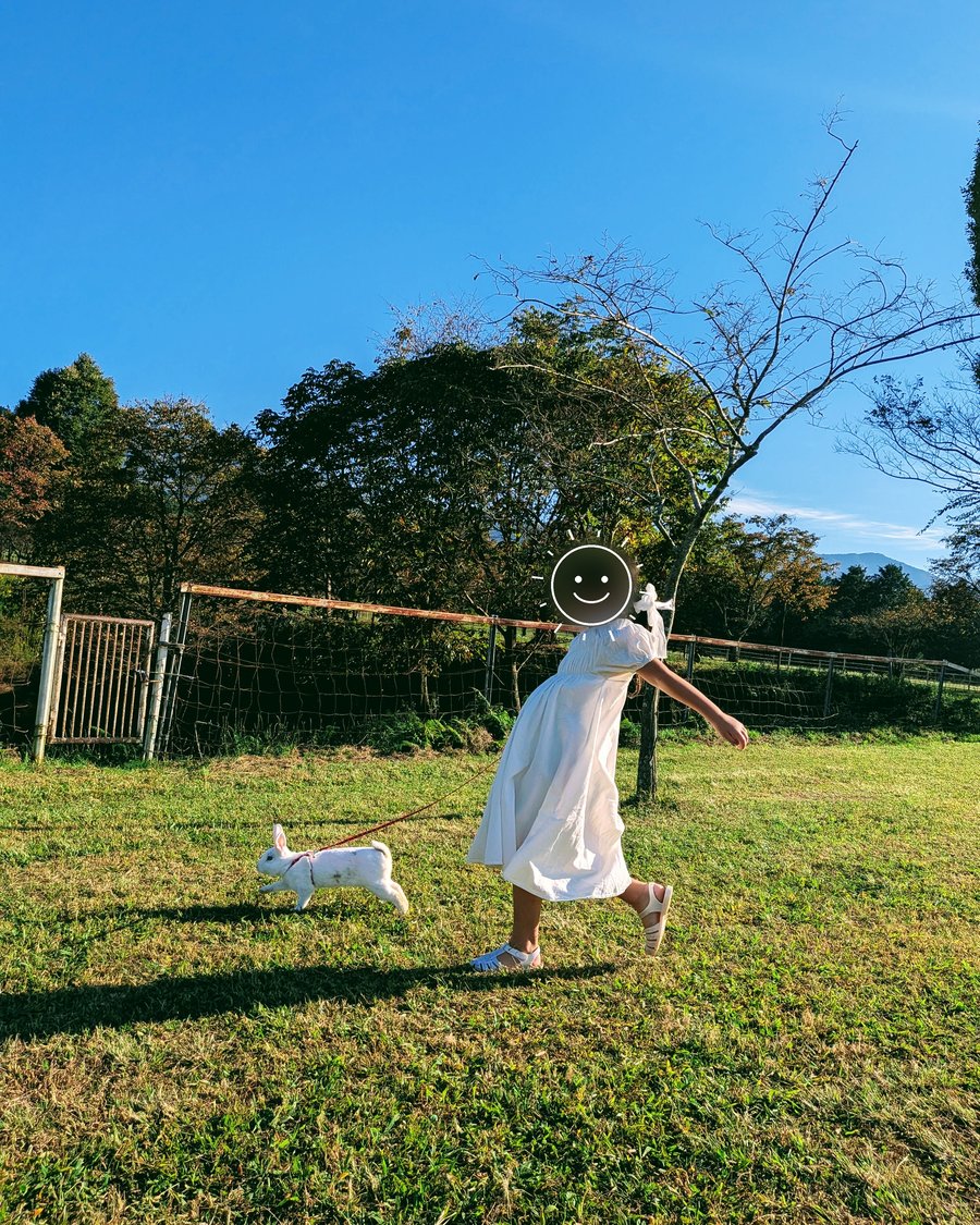 元の写真:草原で、うさぎと一緒に駆ける女の子(顔はスタンプで隠しています)